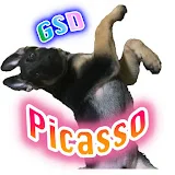 GSD Picasso