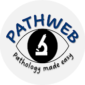 Pathweb Teacher