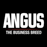 Angus TV