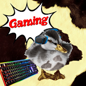 theduckgoesgaming