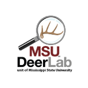 MSU Deer Lab TV