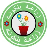 زراعة بلكونة