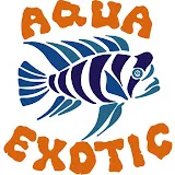 Aqua Exotic