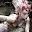 Emilie Autumn - Topic