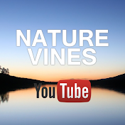 Nature Vines