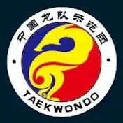 The Dragon Taekwondo Team of China