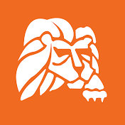 Lion Technology Inc