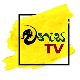 WANESA TV