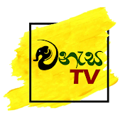 WANESA TV