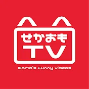 せかおもTV 【World's funny videos】