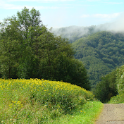 Relaks z naturą