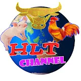 HLT Channel / Giải Pháp Chăn Nuôi Hiệu Quả