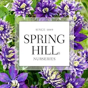 Spring Hill Nurseries