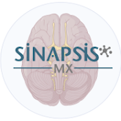 Sinapsis MX