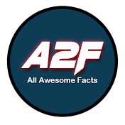 All awesome facts
