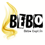 BEBO Explain