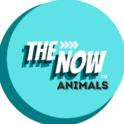 The Now Animals