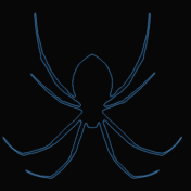 Arachnica