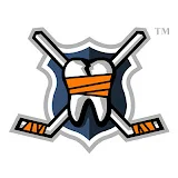 hockeyfights.com