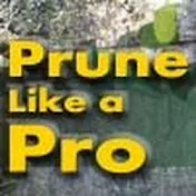 PruneLikeAPro