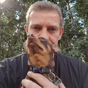 Robert Hynes Dog Training