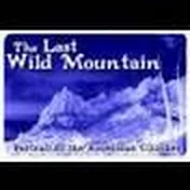 LastWildMountain