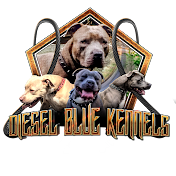 Diesel Blue Kennels