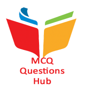 MCQ Questions Hub