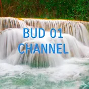 BUD 01 CHANNEL