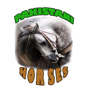 Pakistani Horses