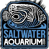 SaltwaterAquarium