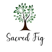 Sacred Fig