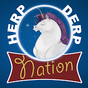 TheDerpNation