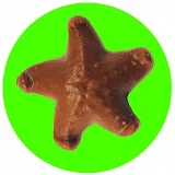 choccystarfish1