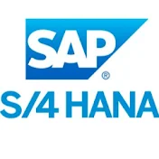 SAP GURU