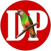 Discover PARROTS