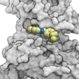 MolSoft Molecules in Silico