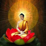 The Buddha Follower