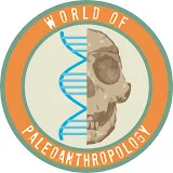 World of Paleoanthropology