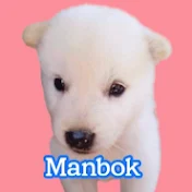 서울개만복-[Manbok is Jindodog]