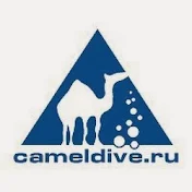 Camel Dive Club