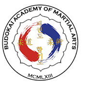 Budokai Academy of Martial Arts