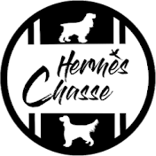 HERMÈS CHASSE