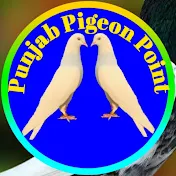 Punjab Pigeon Point
