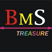 BMS TREASURE