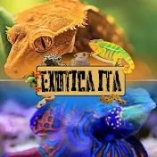 Exotica ita