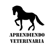 Aprendiendo Veterinaria