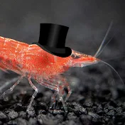 ShrimpCup