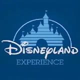 Disneyland Experience