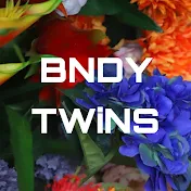Bndy Twins